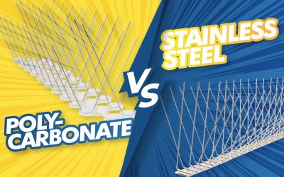 Polycarbonate Bird Spikes vs. Stainless Steel Bird Spikes: A Comprehensive Comparison for Sustainable Bird Control